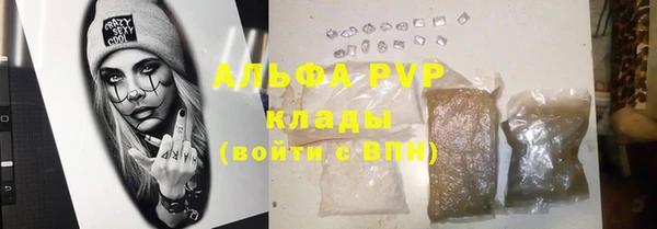 spice Вяземский