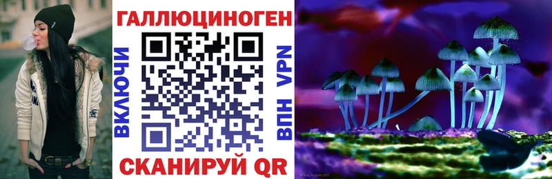 маркетплейс официальный сайт  Инза  Галлюциногенные грибы Psilocybine cubensis 